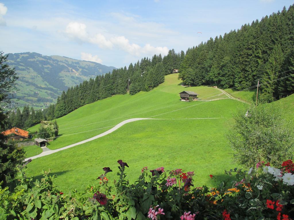 Haus Bergfried Otel Westendorf Dış mekan fotoğraf